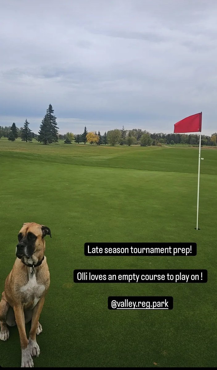 Myles Johb tweet media