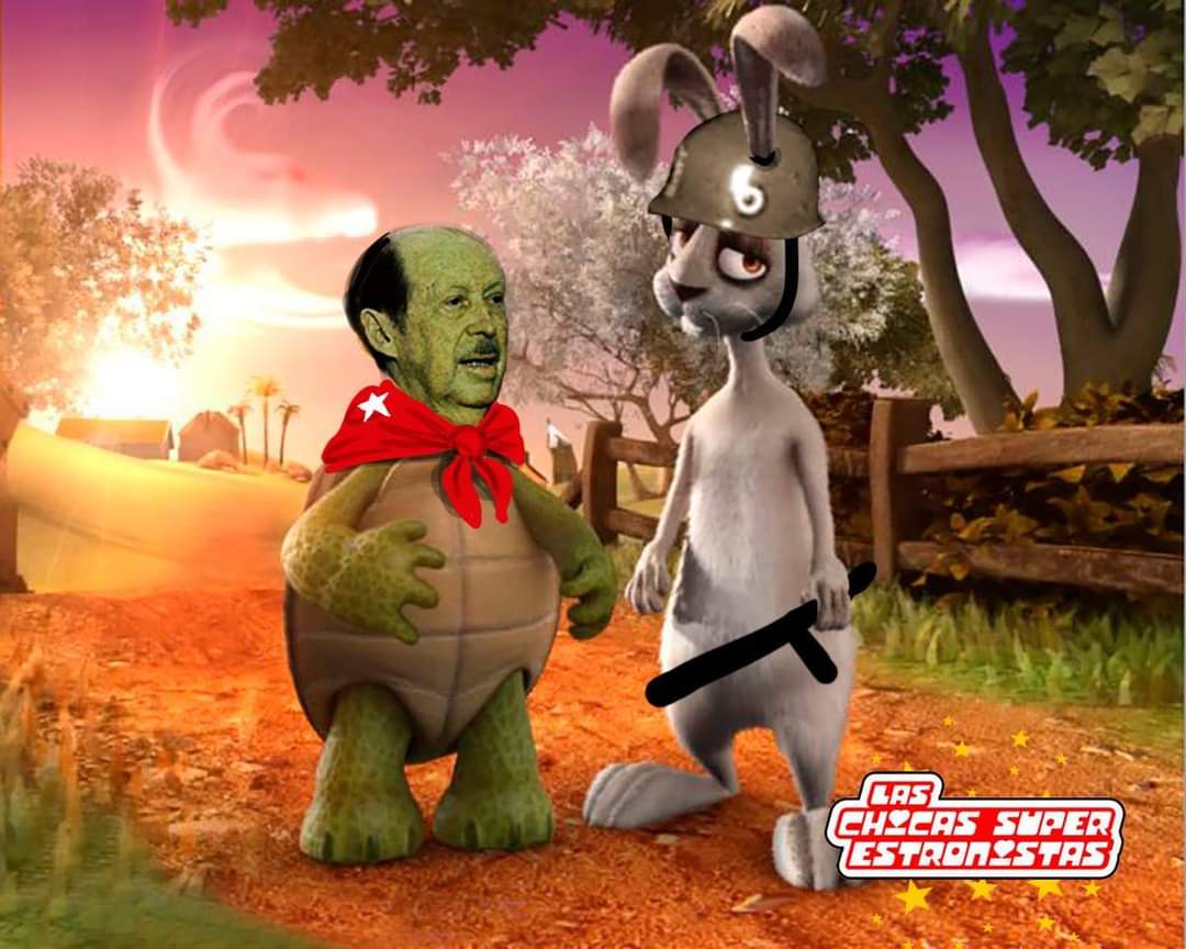 LasChicasSE tweet media