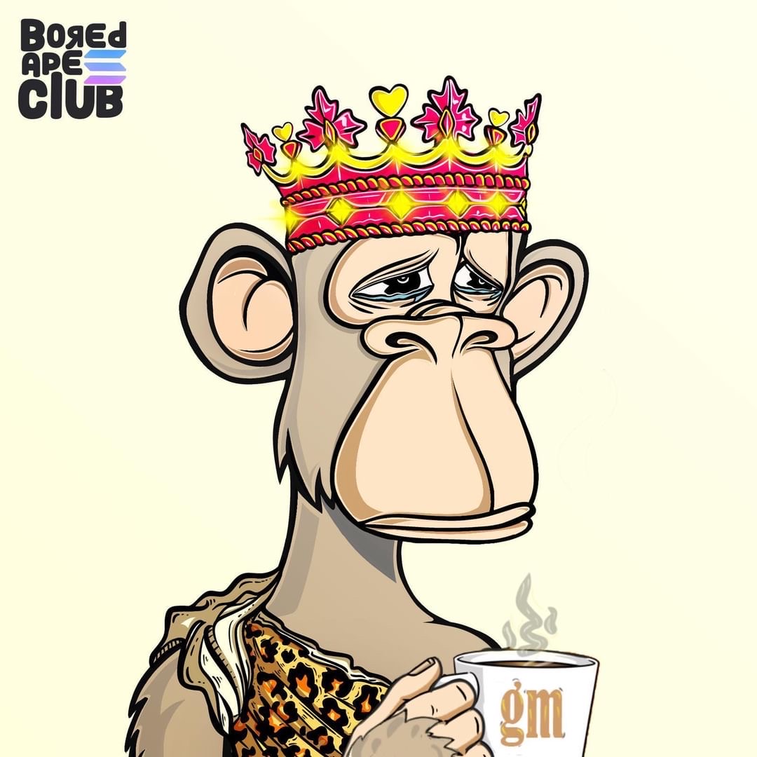 Bored Ape Solana Club tweet media