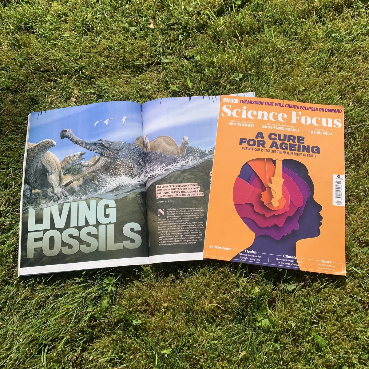 This will never get old… 🗞️🐊