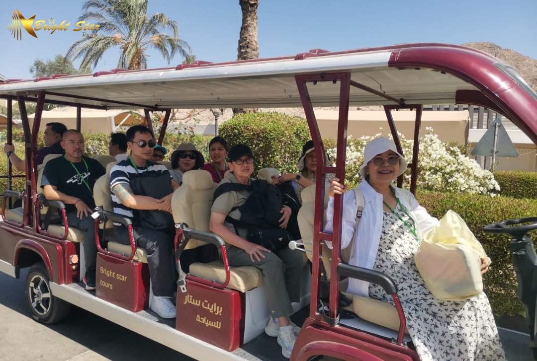 Bright Star Tours tweet media