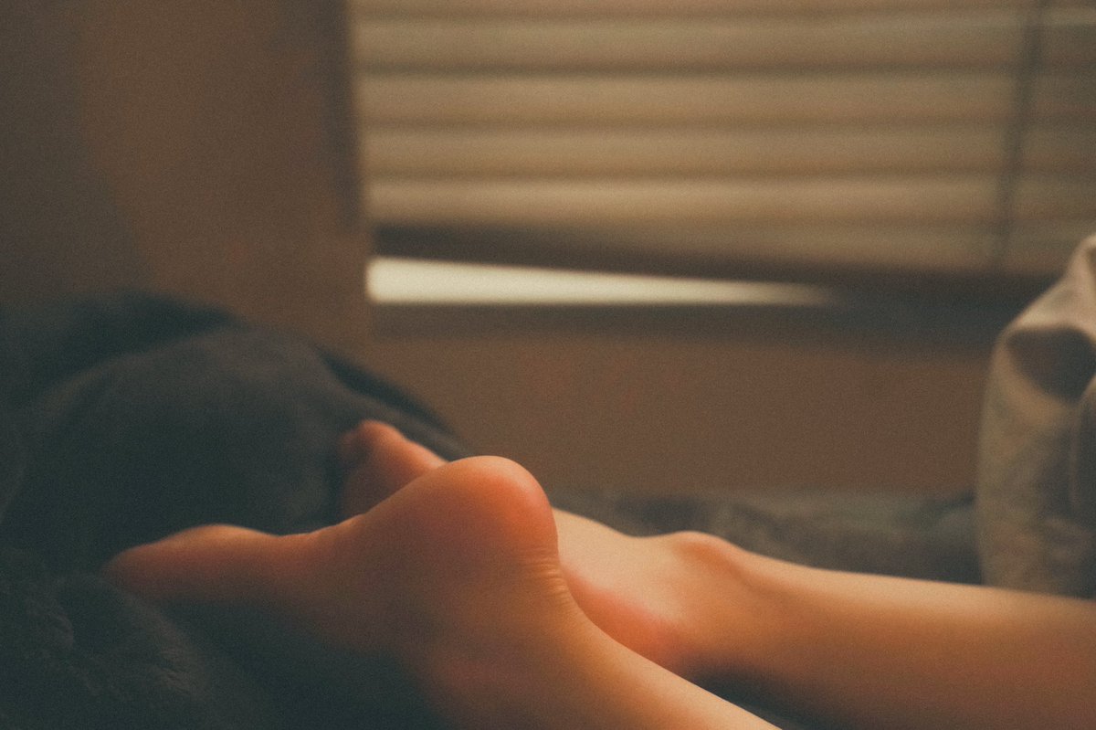 ๑҉峡谷柳如烟🐾 tweet media