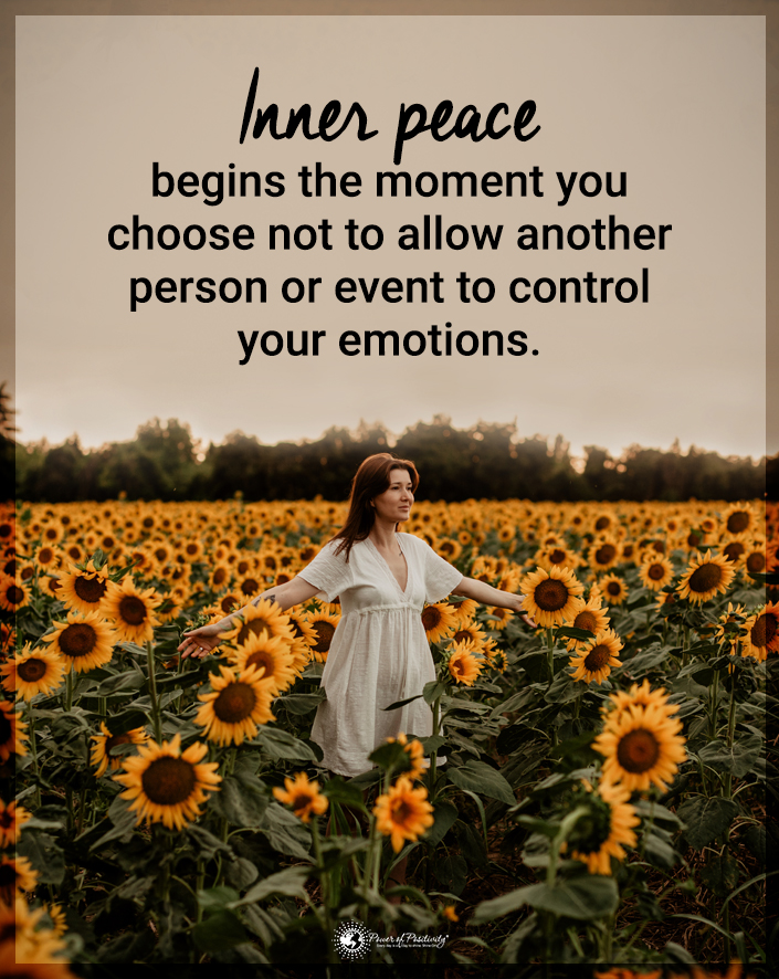 TrainingMindful's tweet photo. “Inner peace begins the moment you choose not to allow another person or event to control your emotions.” https://t.co/aINnUxBOFZ