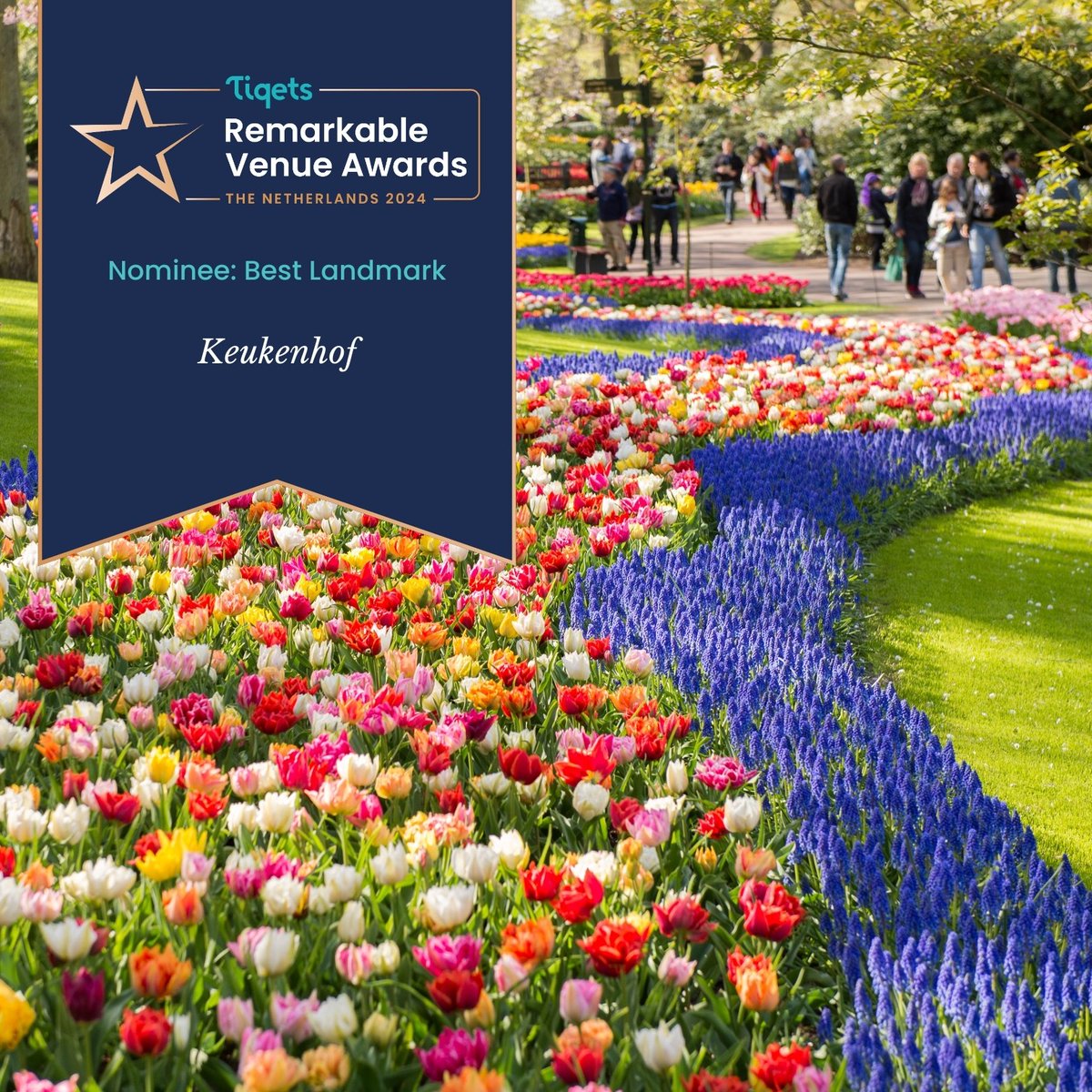 Keukenhof is genomineerd voor de Tiqets Remarkable Venue Award! Stem jij op ons?

We've been nominated for a Tiqets Remarkable Venue Award! Will you vote for us?

Stemmen / Vote via: lnkd.in/eFR2Yp4D