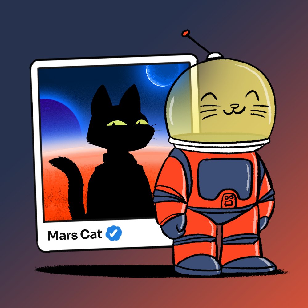 Mars Cats Voyage tweet media