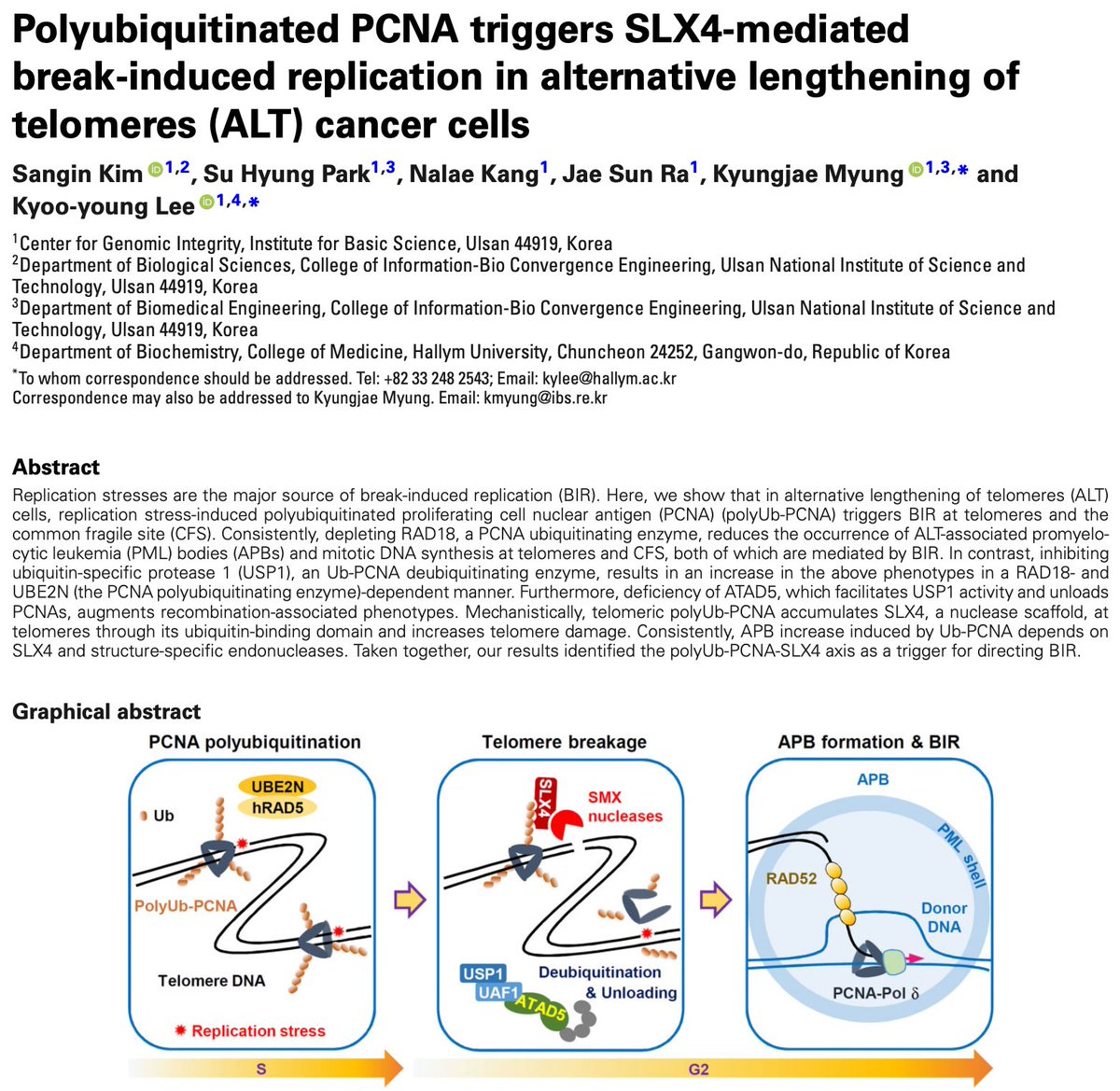 Sangin Kim tweet media