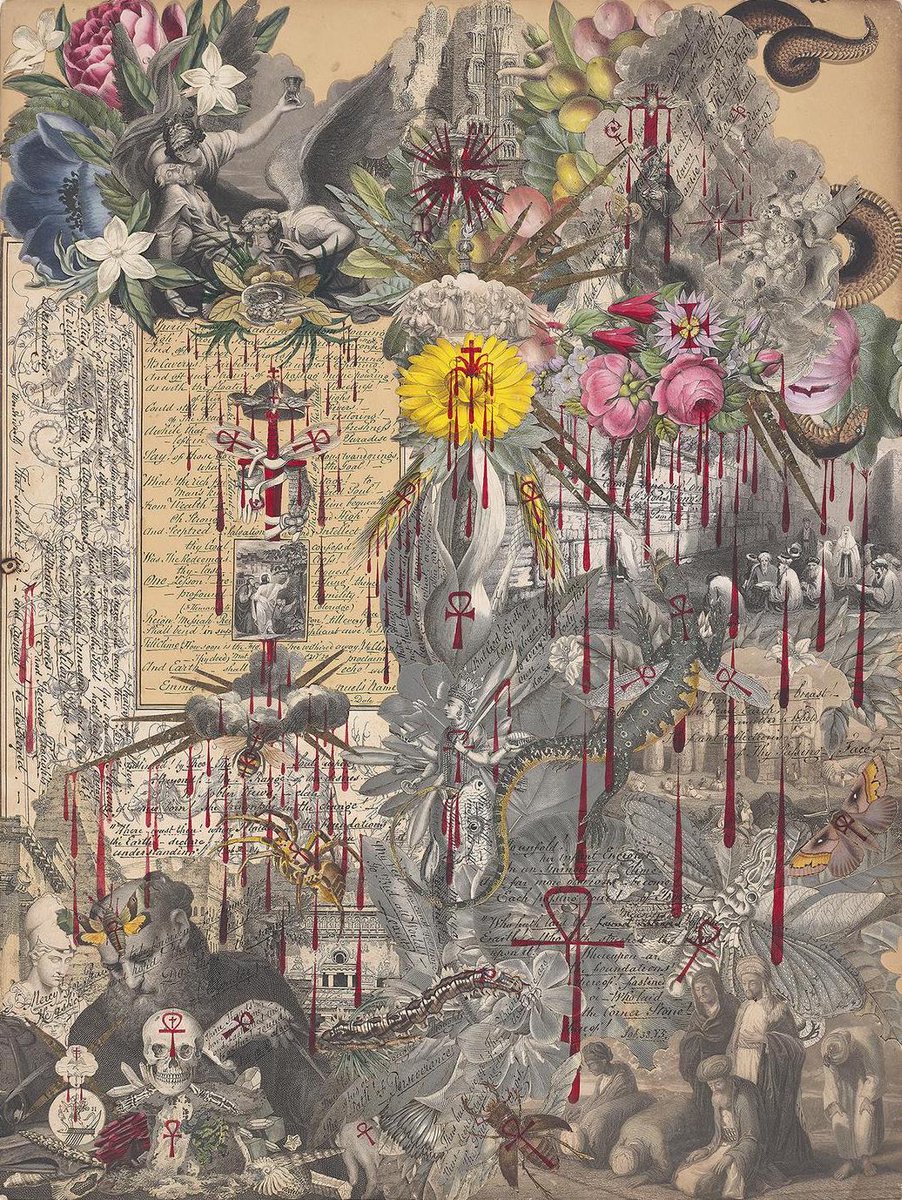 The Public Domain Review tweet media