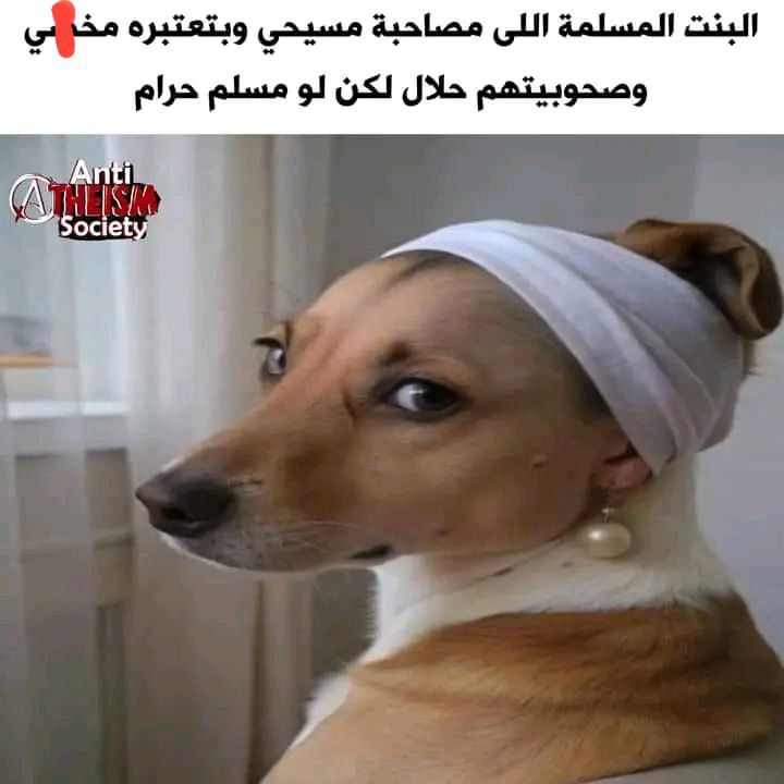 ولم تقولها حرام تقولك لا تدري أيهم الي الله أقرب