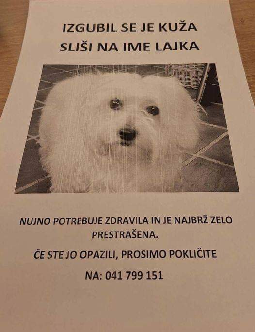 Vsaka delitev šteje! Vsaka informacija šteje.
Ljubljana, Vič