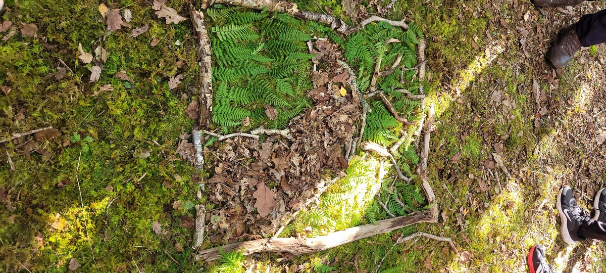 Farchynys tweet media