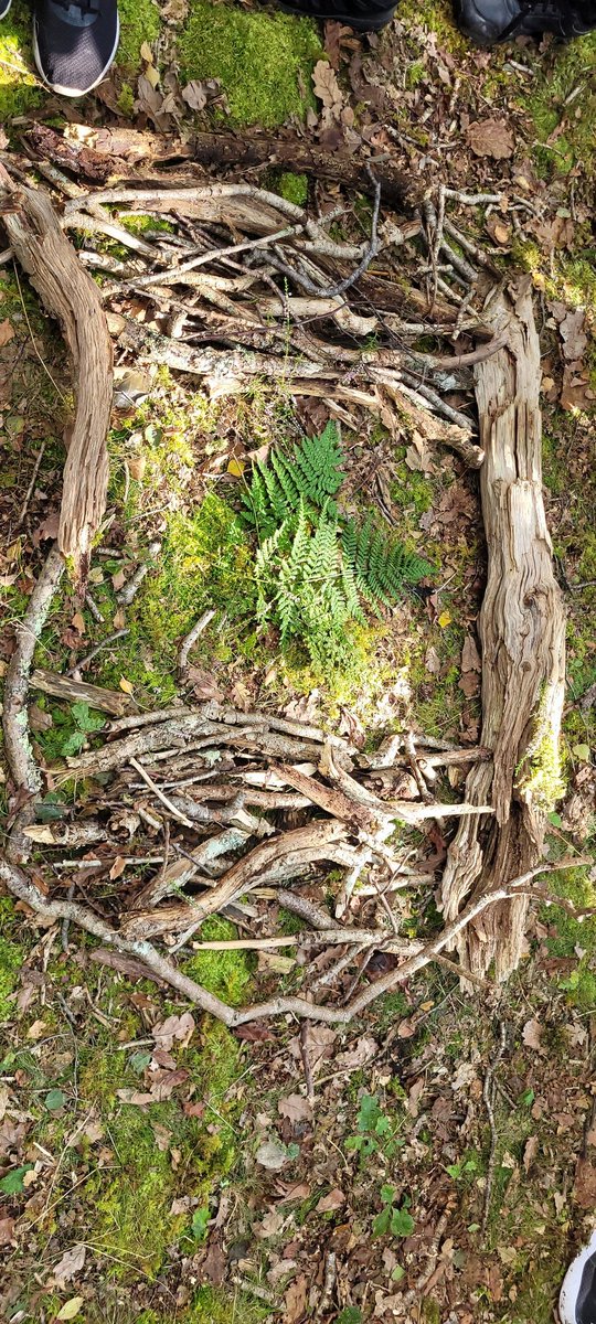 Farchynys tweet media