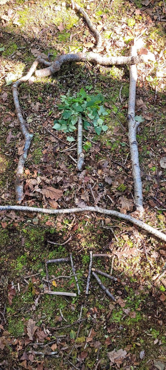 Farchynys tweet media