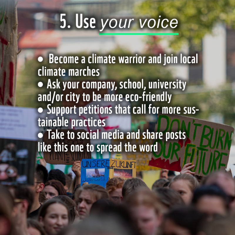 WWF's tweet photo. Though the scale of the #ClimateCrisis can seem daunting, we can ALL take action.

Whether it's making small changes in your lifestyle or calling on leaders to act for nature, we can all play a part for our planet.

RT if you support greater #ClimateAction for people &amp; nature!