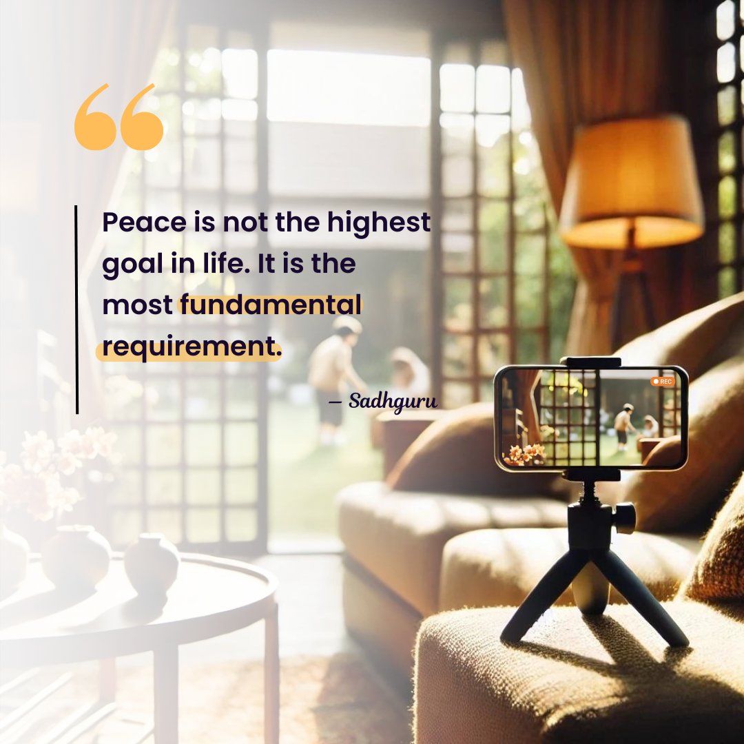 AlfredCamera tweet media