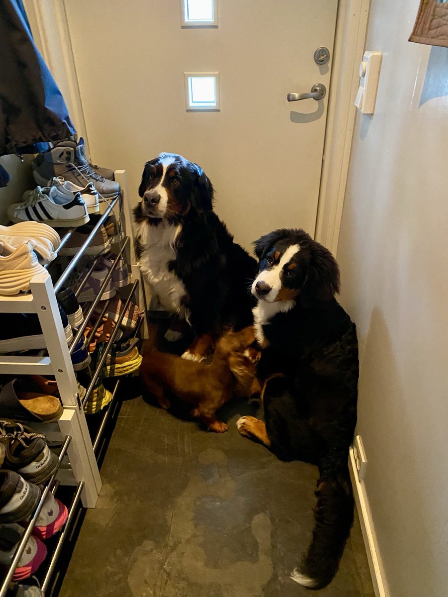 Erlend Vold Enget 🇳🇴🇪🇺🇺🇳🌍 tweet media