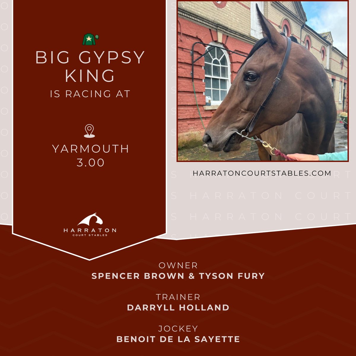 HarratonCourt's tweet photo. 👑Big Gypsy King is racing at Yarmouth today 3.00. 
Good luck to owners Spencer Brown &amp; #TysonFury, trainer #DaryllHolland, jockey Benoit De La Sayette + all connections! #BigGypsyKing #GoodLuck #HorseRacing https://t.co/X9tFJlHTDG