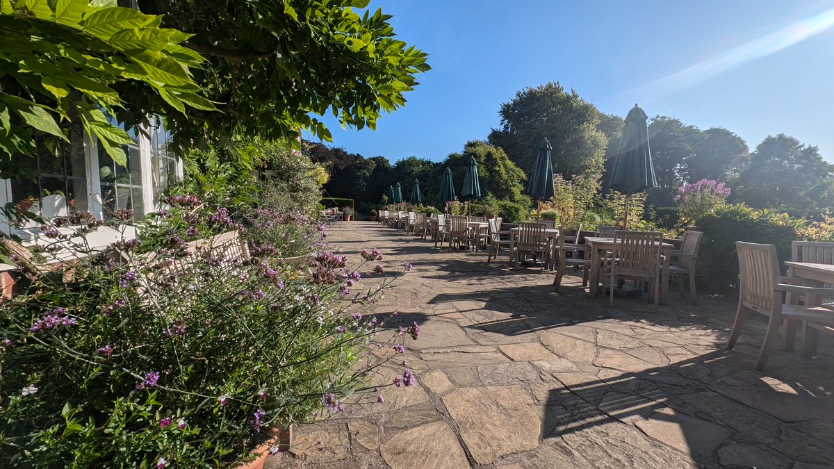 ☕ The Terrace Tearoom will be closing at 3pm tomorrow, Thursday 19th September, for a private event. We apologise for any inconvenience caused.    

The rest of the site will remain open as usual for you to enjoy🌿