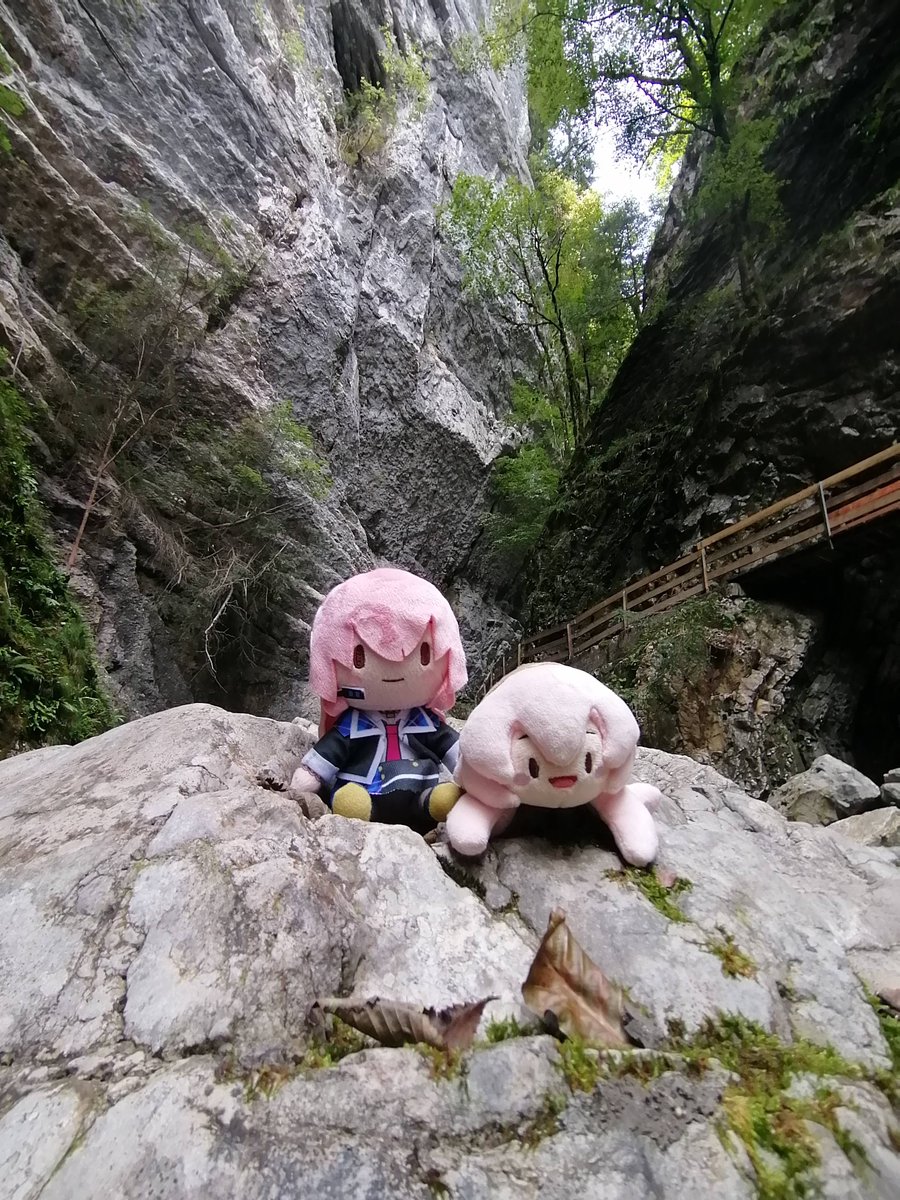 StefanPruner's tweet photo. さっき私たちの町の峡谷に行ってきました。マンガを読むために行った。天気はとっても良かった。

#巡音ルカ
#ぬいぐるみの時間 https://t.co/fcwRaAK7Ex