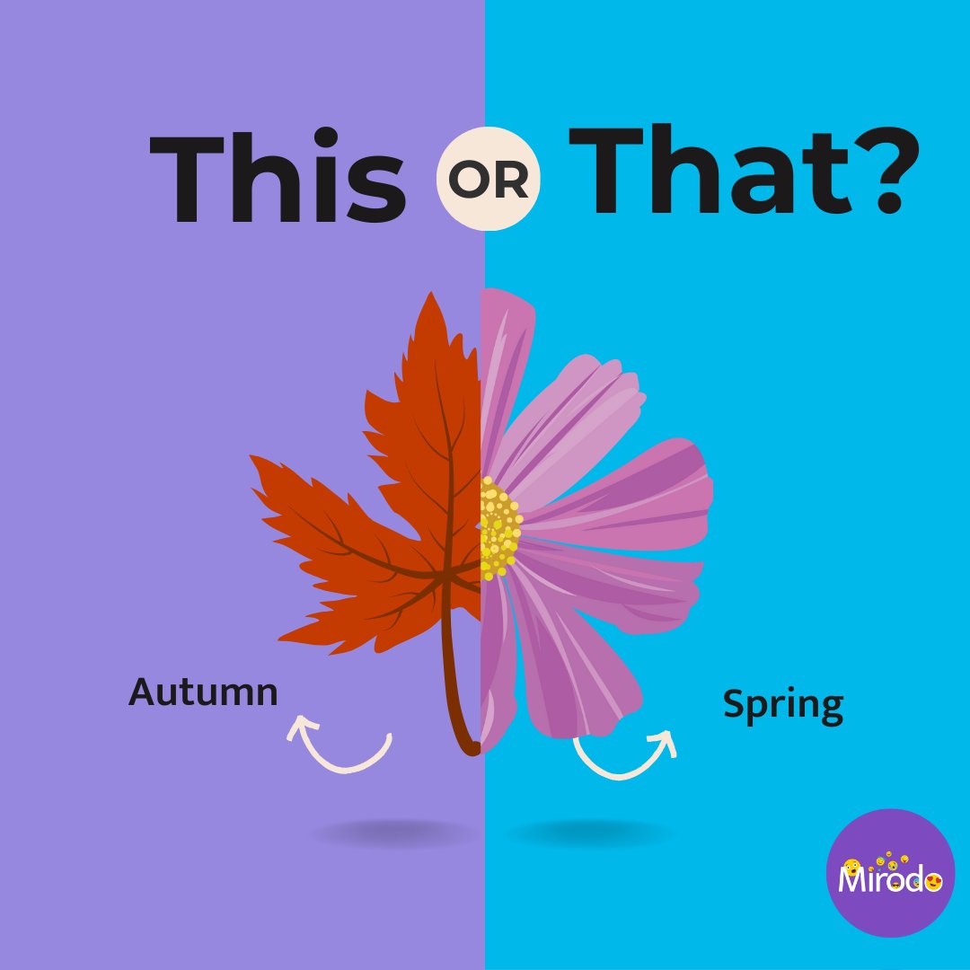 Mirodo Education tweet media