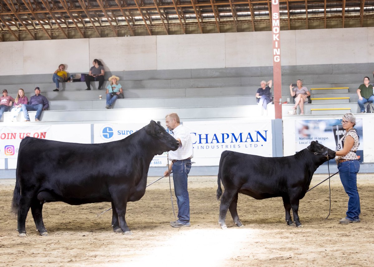Had a fun outing at the IPE, was great to be back. Dusty’s Countess 101K was champion angus female.