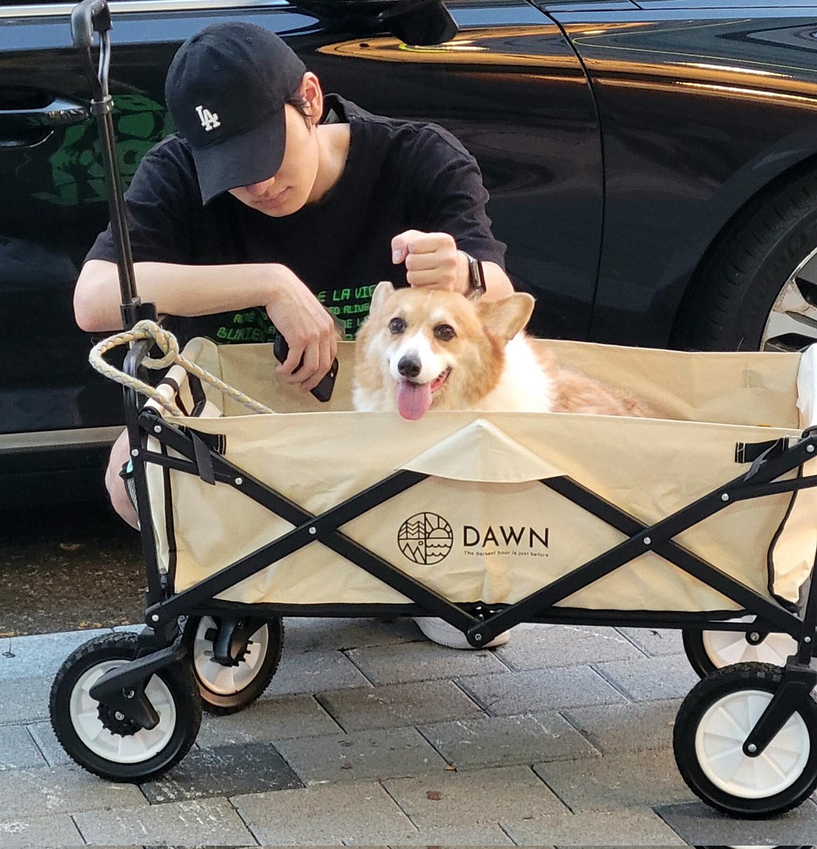 HUIJUNLOOK's tweet image. the cutest picture in the world