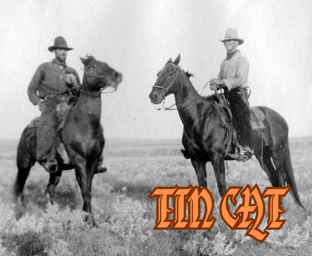 Are you subscribed to my free Substack novel TIN CAT yet? If not, why not?

substack.com/@tomwardwrites…