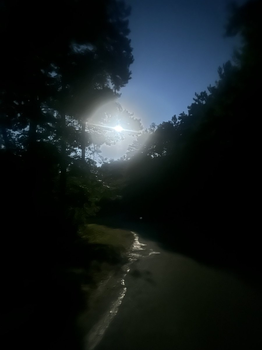 aprieditis's tweet photo. A beautiful start to the day! https://t.co/qh8XEKlANZ