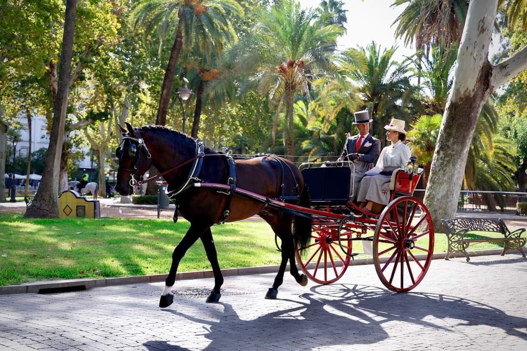 Enganches Andalucía tweet media