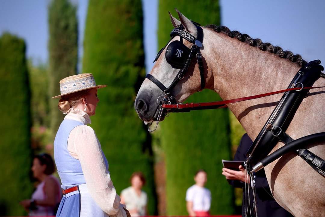 Enganches Andalucía tweet media