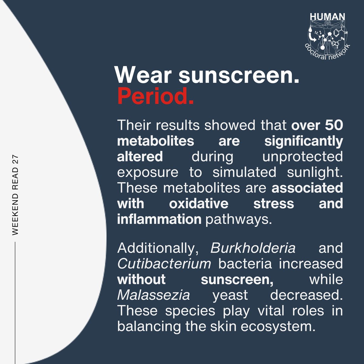 HUMAN Doctoral Network tweet media