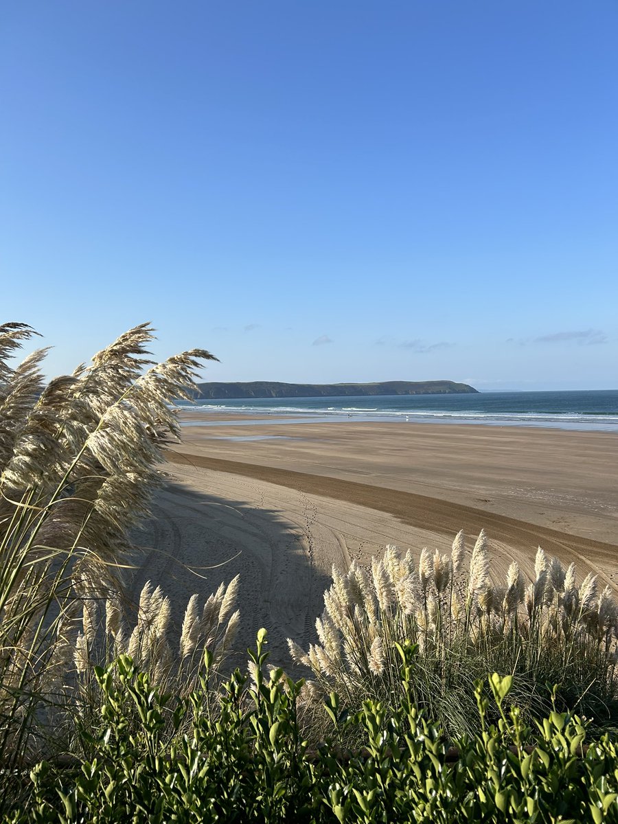 Woolacombe TIC tweet media