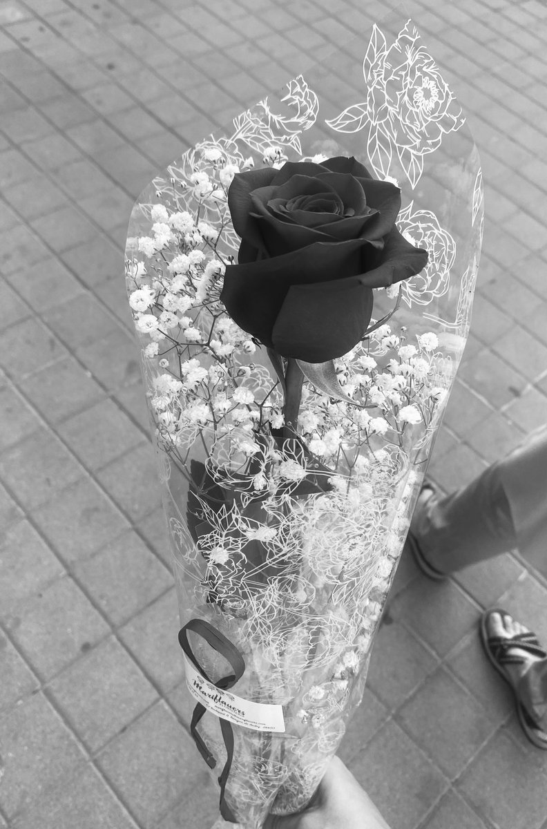 acherizardo's tweet photo. marina, eres un regalo del cielo. 
te mereces todo lo bueno y todo lo puro, siempre voy a estar aquí para cuidarte.
eres mi guerrera, te amo con el alma🌹 https://t.co/TP6ZXLX8W8