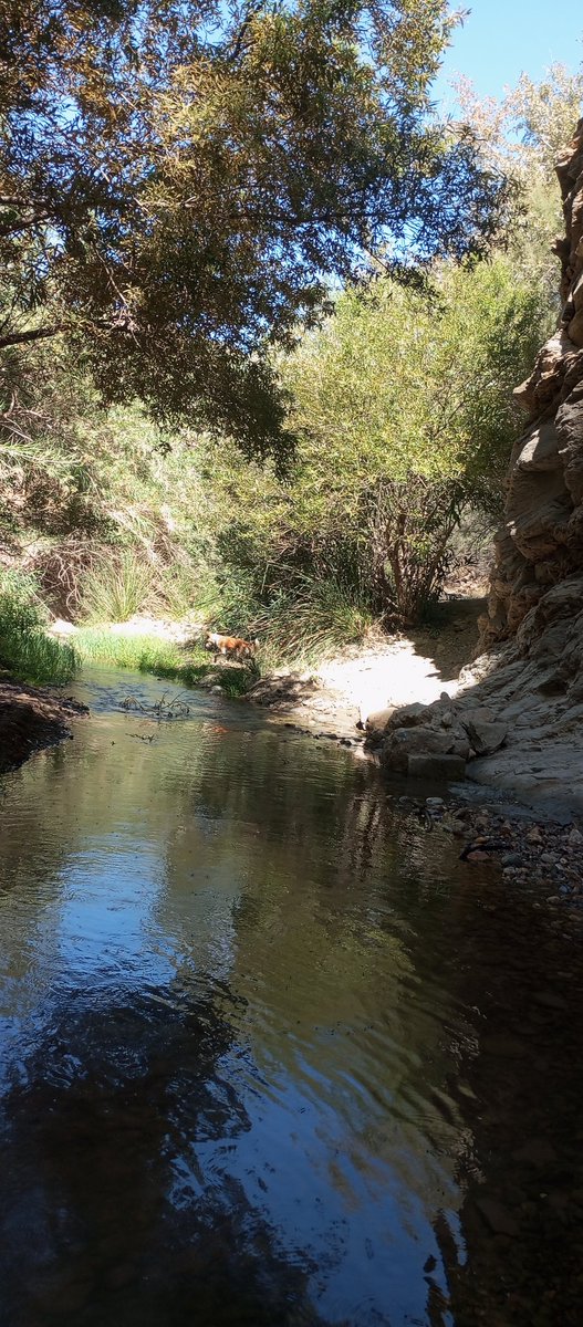 CortijoabueloP's tweet photo. No todo son las canales de padules ni laujar de andarax si buscas agua en #almeria
Esto es el río Andarax, en la linde entre #canjayar y #padules
Lleva agua todo el año y es una garganta entre sierra nevada y sierra de gador
Si remontasemos el río llegaríamos a los canjorros https://t.co/rRTnT86ViX