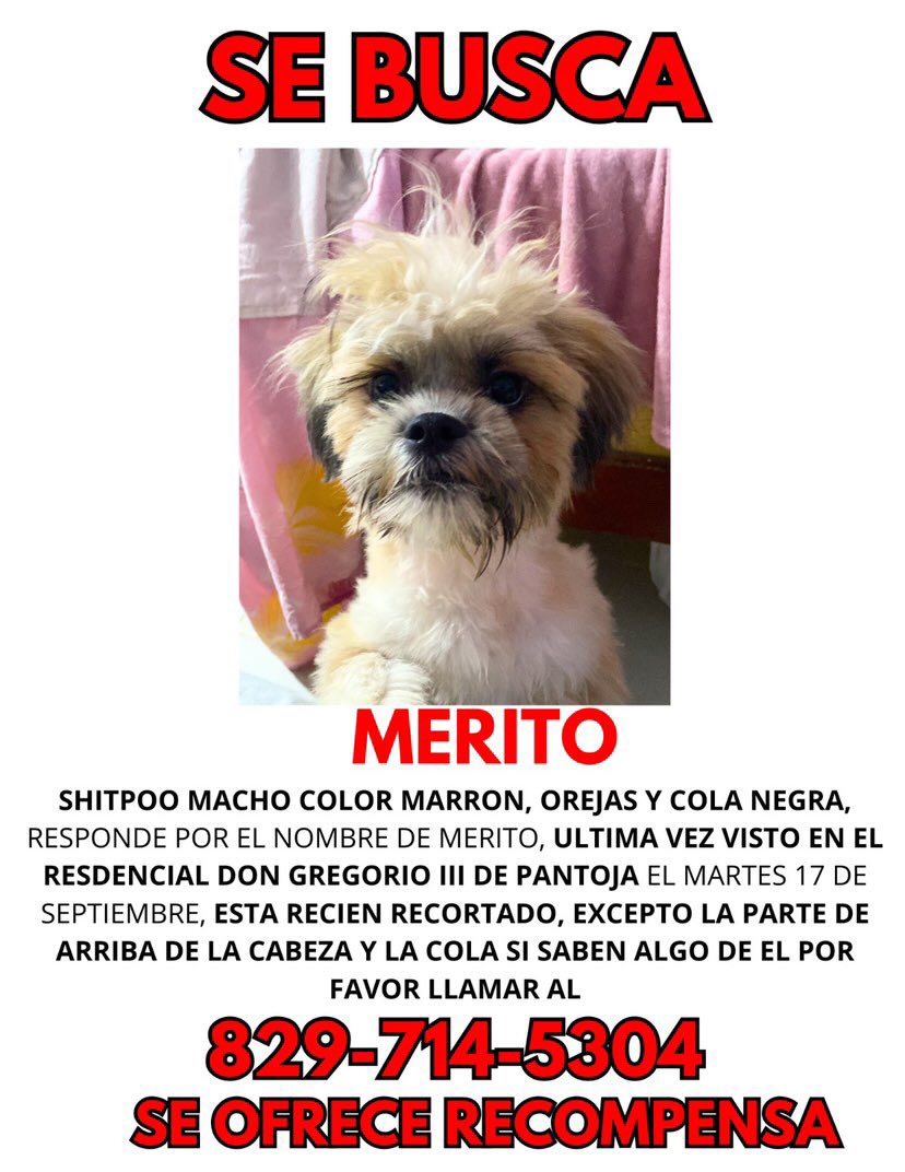 Ayuda dando RT por favor 🫶🏼