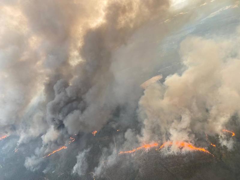 SecCivileFrance's tweet photo. 🇫🇷🇵🇹2 #Canadair supplémentaires ont été envoyés au #Portugal dans le cadre du dispositif #RescUE pour soutenir les sapeurs-pompiers locaux dans la lutte contre les #FeuxDeForêt qui ravagent le pays.
Avec le soutien de @eu_echo, la mobilisation de la Sécurité civile🇫🇷 est totale ! https://t.co/FG0DycVPEZ