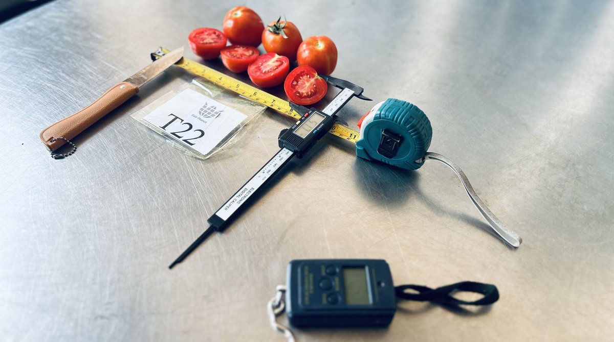 Taking full-date for new varieties of #tomatoes in #rwanda disease and peste resistant seeds are tested to recommend farmers what’s more productive #agriculture