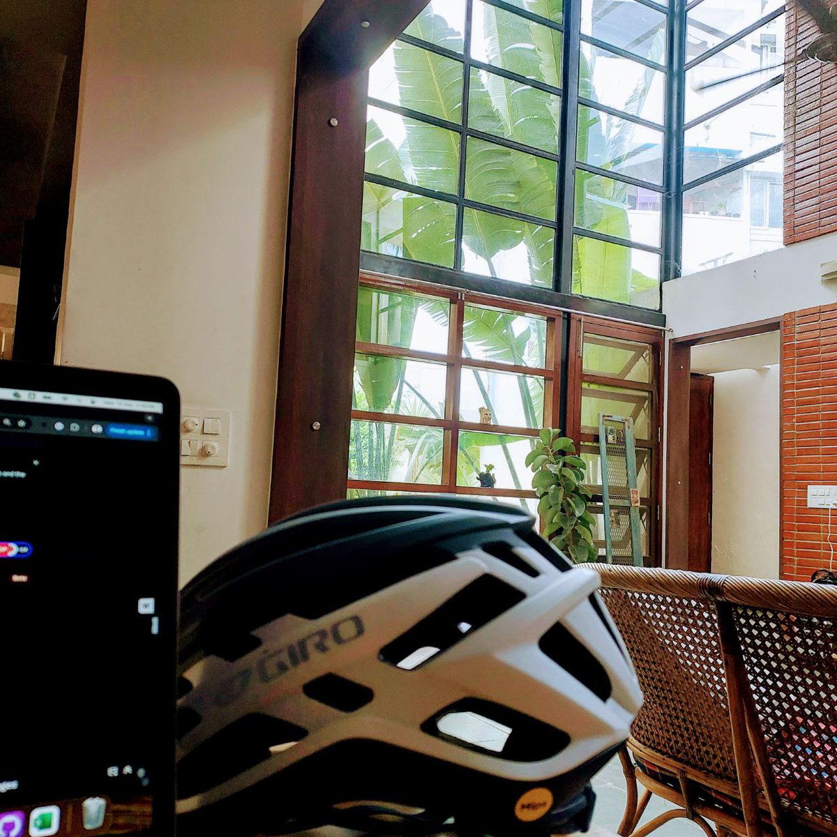 Had "patio to table" tomatoes for the afternoon salad and some cozy corners for deep work at the <a href="/Atlantis_p2p/">Atlantis 🔱</a> sanctuary.