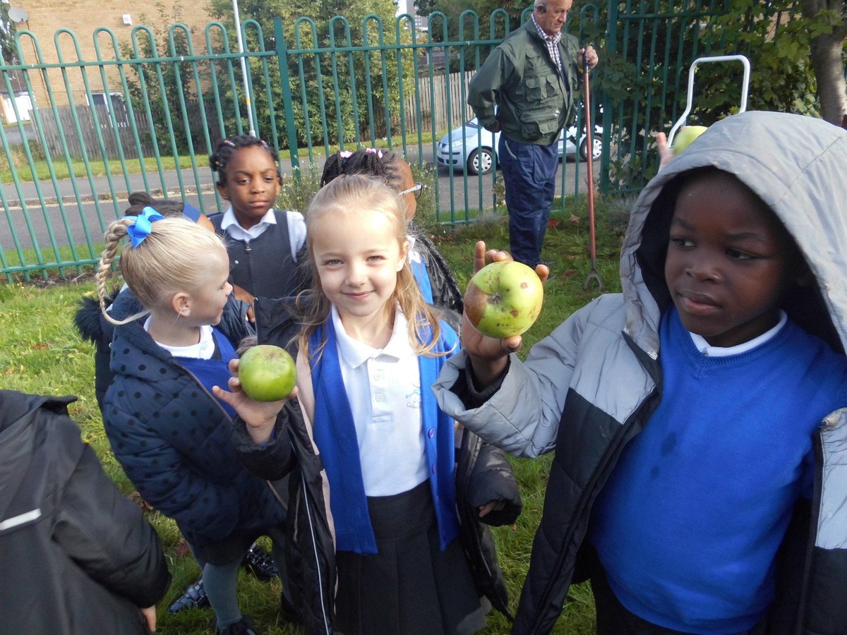 St Jude's Catholic Primary School 🧡 (@jude_primary) on Twitter photo Lovely to see Y1 collecting our beautiful apples for everyone to enjoy. Mrs S is looking forward to her apple crumble today! #creation #catholiclife <a href="/BCPP__/">🧡Catholic Primary Partnership🧡</a> <a href="/BhamDES/">Birmingham Diocesan Education Service</a> <a href="/PrimaryTolkien/">Tolkien Cluster Schools</a> Lovely to see Y1 collecting our beautiful apples for everyone to enjoy. Mrs S is looking forward to her apple crumble today! #creation #catholiclife <a href="/BCPP__/">🧡Catholic Primary Partnership🧡</a> <a href="/BhamDES/">Birmingham Diocesan Education Service</a> <a href="/PrimaryTolkien/">Tolkien Cluster Schools</a>