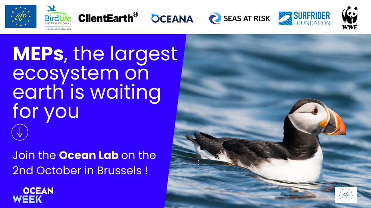 MEPS‼️

The next 5 years will be intense, no doubt. Make sure you are coming prepared for the upcoming #oceanDeal, we are helping you!

Meet with the Ocean on October 2nd in our OCEAN LAB. Experts and scientists will bring you up to speed on fisheries, biodiversity, energy, the