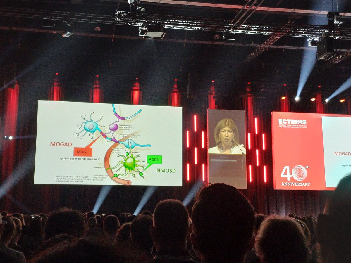 GeoArrambide's tweet photo. ECTRIMS 2024 opening ceremony with the Queen of Denmark present, a beautiful video on the history of ECTRIMS now celebrating its 40th anniversary, and a great ECTRIMS lecture by Jackie Palace on NMOSD and MOGAD. #ECTRIMS2024 @ECTRIMS @MarTintore https://t.co/bpqk1pzrsN
