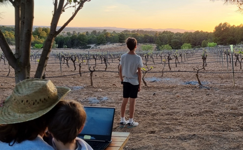 👉 Despoblación rural: una familia alemana y otra danesa se instalan en Chera y Requena con el programa Rural Life Spain
comarcalcv.com/art/364579/des…