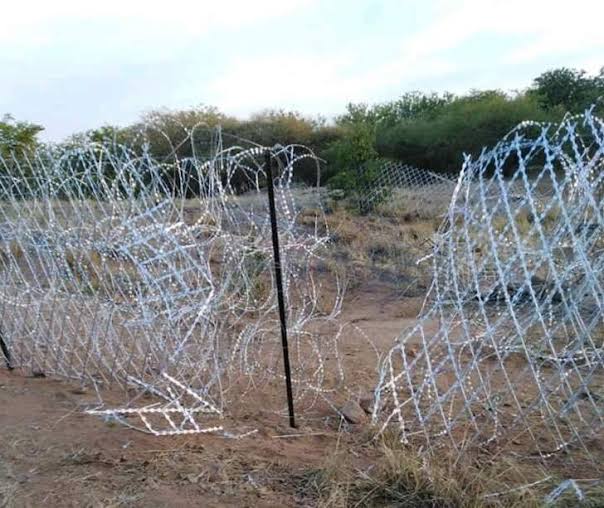 matumba_anthony's tweet photo. This is the border that is used to threaten us that if we vote for the EFF it will be removed and illegal foreigners will enter.

The EFF is not in government, here is the open border and as you can see illegal foreigners are entering and going as if South Africa is some local tarven.

The racist media managed to brainwash many people into believing that the EFF want to open border fence with its Open Border Policy.

What Media do not want us to know is that the EFF want to open economic borders in Africa. The EFF want Africans to use single currency like European countries united together using Euro.

The EFF want Africa to have one big military like Europeans have NATO. The EFF is proposing for Africans to buy from each other before buying from Europeans. For example, Zimbabwean cigarettes are illegal in South Africa but American cigarettes are legal. The EFF is proposing that we buy from Zimbabwe first and America later.

The EFF is proposing for Africa to Open Economic borders. It is simple for Europeans to do business in Africa but it is difficult for Africans to do business in Africa.

The EFF is not interested in that border fence because it doesn't exist to start with. If it does exist, tell me how we have so many illegal foreigners.

EFF SHALL RISE