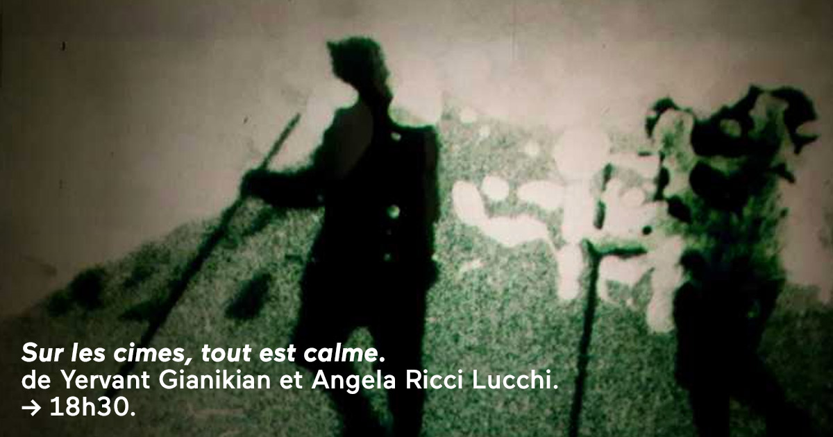 Forum des images tweet media