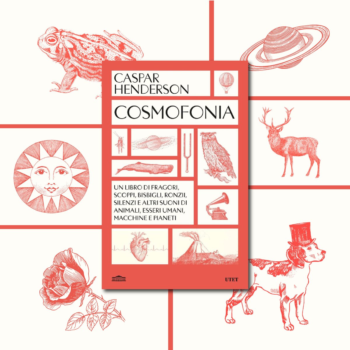 UTET (@utetlibri) on Twitter photo “Cosmofonia” di <a href="/casparhenderson/">Caspar Henderson</a> è un grande catalogo dei suoni dell’universo, dall’infinitamente piccolo all’infinitamente grande, dal silenzio gelido del cosmo al battito del nostro cuore: lo trovate in tutte le librerie.
📚 bit.ly/Cosmofonia_Utet “Cosmofonia” di <a href="/casparhenderson/">Caspar Henderson</a> è un grande catalogo dei suoni dell’universo, dall’infinitamente piccolo all’infinitamente grande, dal silenzio gelido del cosmo al battito del nostro cuore: lo trovate in tutte le librerie.
📚 bit.ly/Cosmofonia_Utet