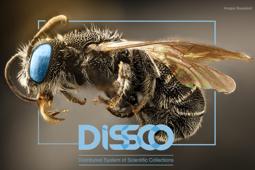 Not that you don't know us already but just in case, <a href="/DiSSCoEU/">DiSSCo</a> has got its own #ROR  (i.e. our own persistent identifier for research organisations at the <a href="/ResearchOrgs/">ROR community (inactive Nov 2024)</a> registry). Disambiguation made easier! 👉 ror.org/02wddde16 #FAIRdata #biodiversity #FAIR <a href="/REA_research/">European Research Executive Agency</a>