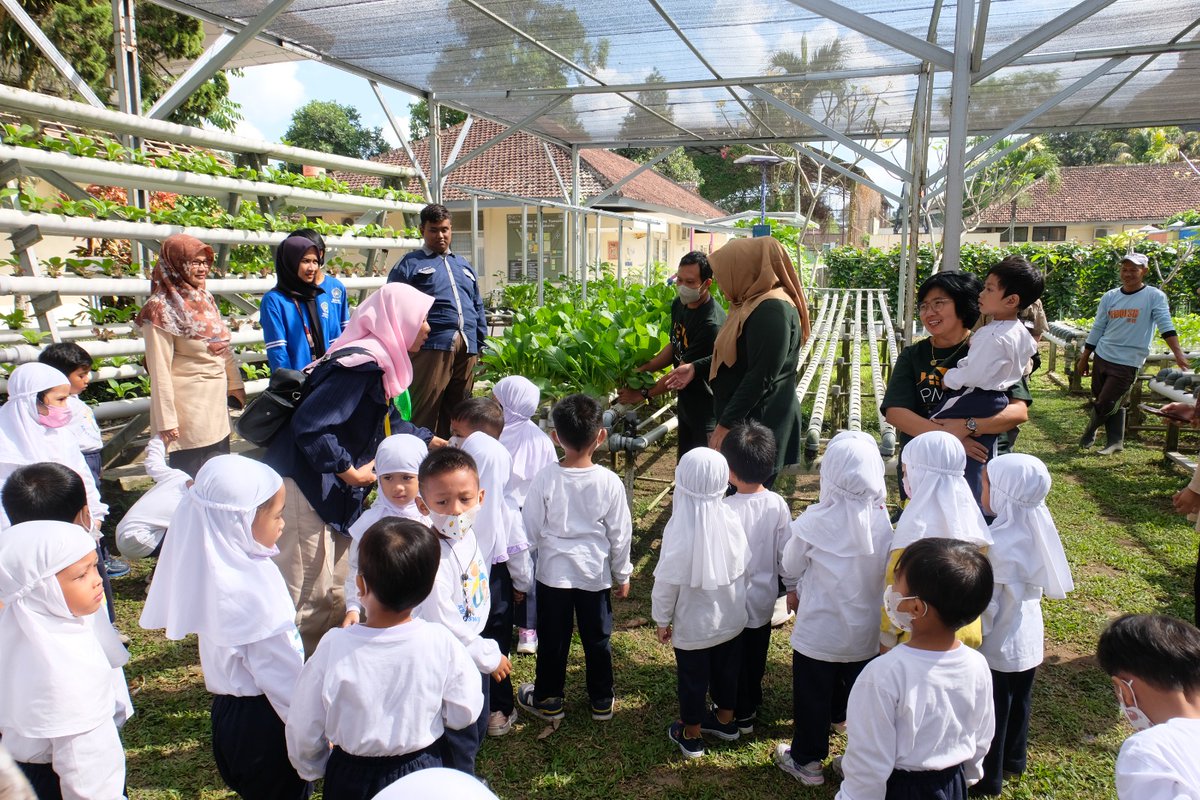 Hello! #SobatBalai
It was a great day for the little ones from Uswatun Hasanah Kindergarten at the BBPPMD Yogyakarta for the introduction of the environment to the students.

#bbppmyogyakarta #kementeriandesapdtt #belajarkilat #TKUswatunHasanah #demplot