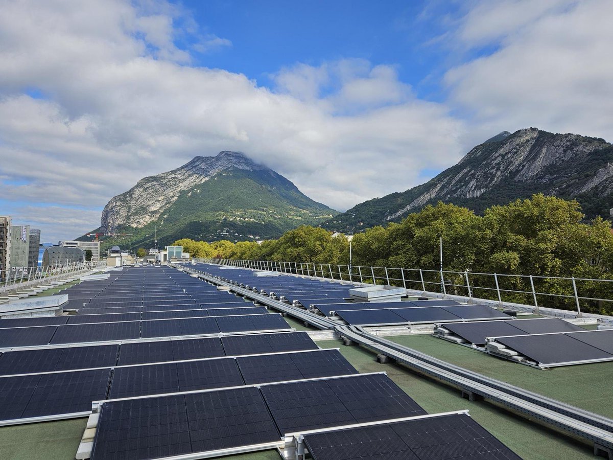 Sandrine AZEMARD tweet media