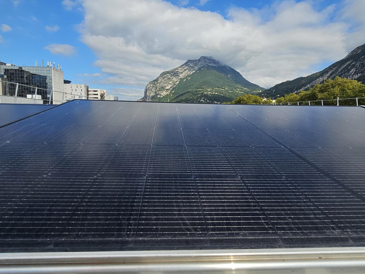 Sandrine AZEMARD tweet media