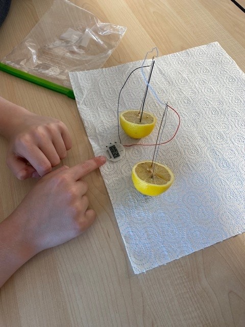 Investigating conductivity in P7 today! Excited to see the results! #STEM <a href="/UHISTEM/">UHI STEM</a> <a href="/LauraInSTEM/">Laura in STEM</a>