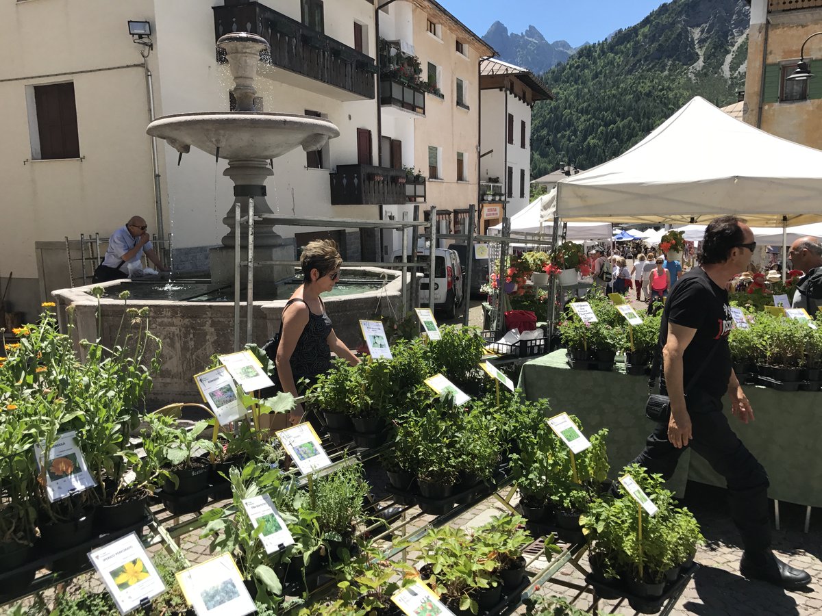 regioneFVGit's tweet photo. #eventiFVG
📣 Nuovo appuntamento della Dolomiti Mountain School 2024: venerdì 20 settembre alle 9.30, nella Ciasa dai Fornés a Forni di Sopra è in programma un incontro dedicato a “La sostenibilità della convivenza tra residenti e turisti”.
Info qui 👉 https://t.co/lrykbtrAVU https://t.co/Ymo1yYC0Ss